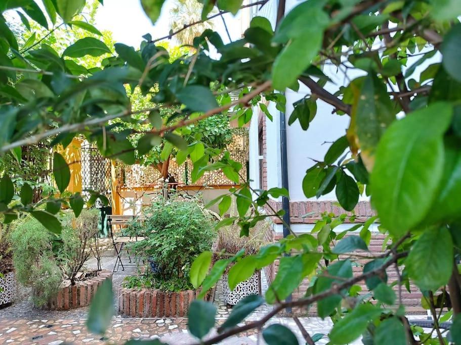 Casa Limonero Con Parking Gratis Junto A Centro Historico Villa Granada Kültér fotó