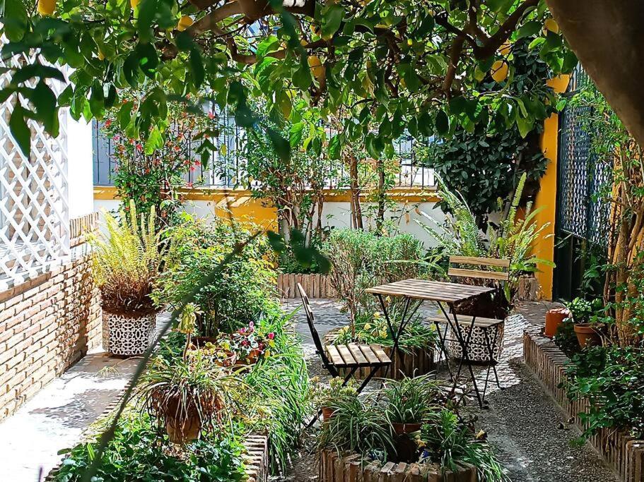 Casa Limonero Con Parking Gratis Junto A Centro Historico Villa Granada Kültér fotó