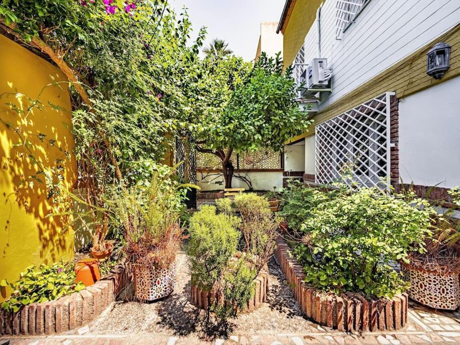 Casa Limonero Con Parking Gratis Junto A Centro Historico Villa Granada Kültér fotó
