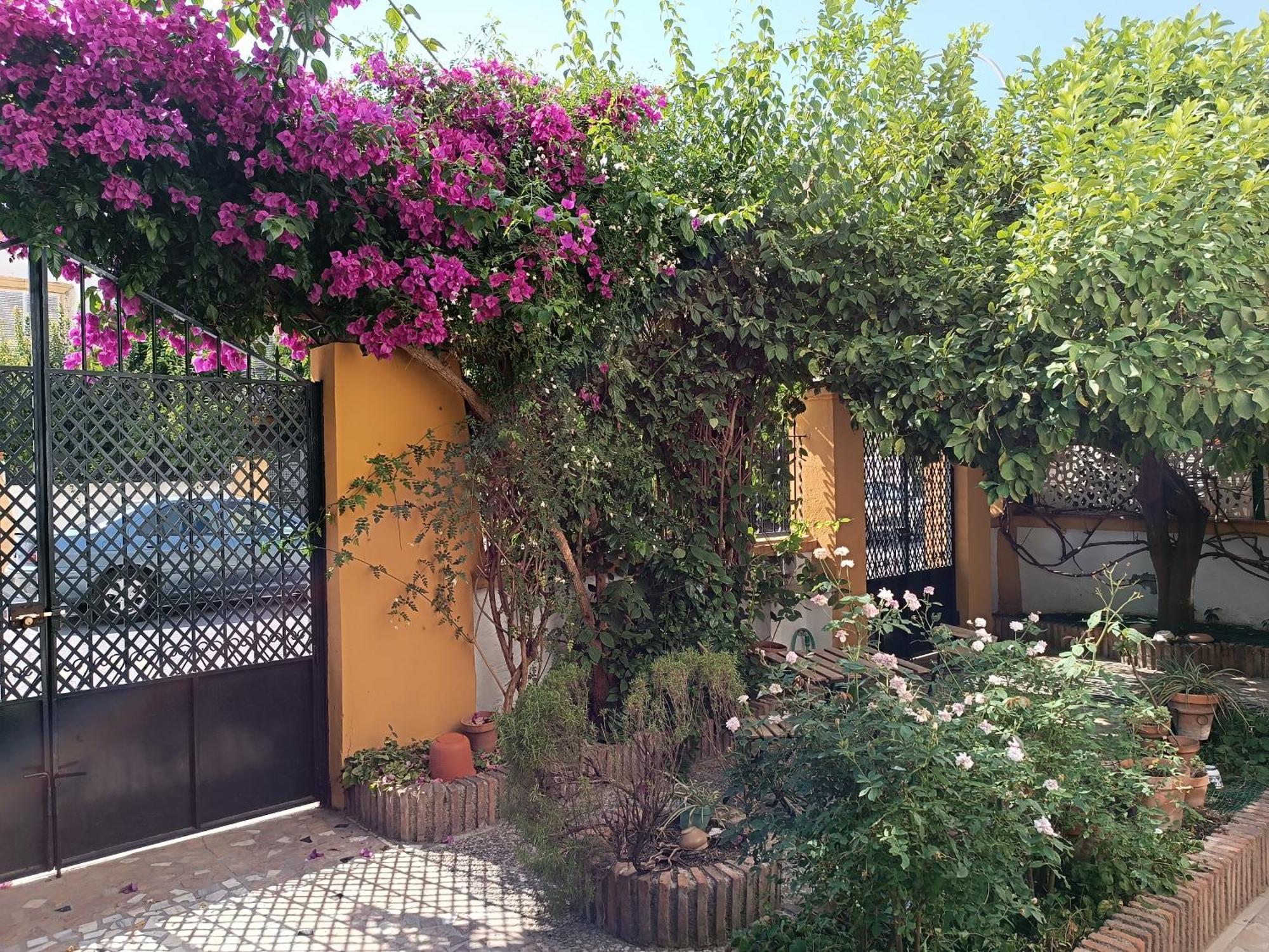 Casa Limonero Con Parking Gratis Junto A Centro Historico Villa Granada Kültér fotó